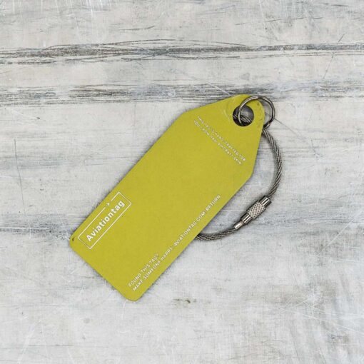 Aviationtag Southwest Blau Boeing 737